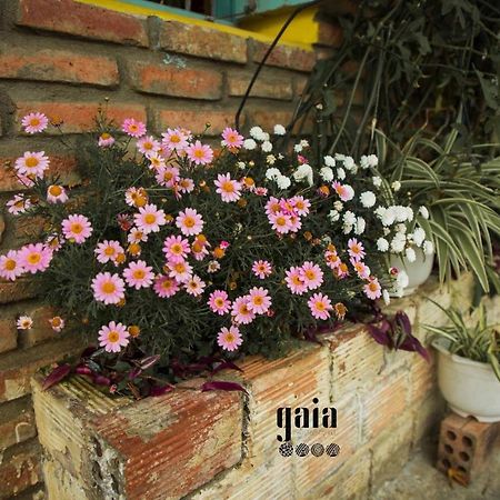Gaia Hostel Da Lat Exterior photo